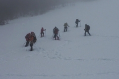 raquettes janv 12 (8)