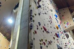 WhatsApp-Image-2026-03-14-at-17.01.25