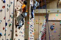 WhatsApp-Image-2026-03-14-at-17.01.31