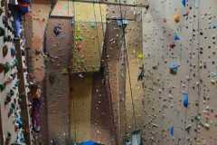 WhatsApp-Image-2026-03-14-at-19.04.38-1