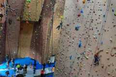 WhatsApp-Image-2026-03-14-at-19.04.38