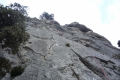 dentelles mars 12 (11)
