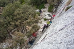 dentelles mars 12 (21)