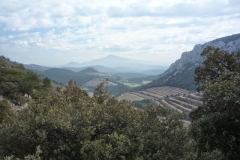 dentelles mars 12 (8)