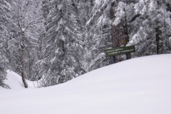 petit som fev 13 (10)