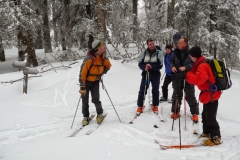 petit som fev 13 (17)