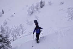 petit som fev 13 (8)