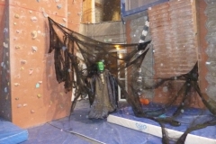 halloween nov 13 (9)