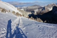 Petit som - janv 14 (12)