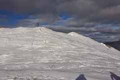 Petit som - janv 14 (22)