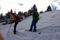 Petit som - janv 14 (30)