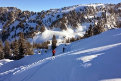 Petit som - janv 14 (4)