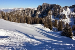 Petit som - janv 14 (5)