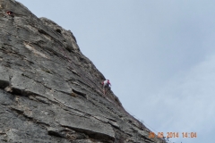 dentelles de montmirail mars 14 (10)