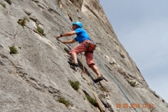 dentelles de montmirail mars 14 (8)