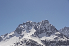 agneaux avril 2014 (28)