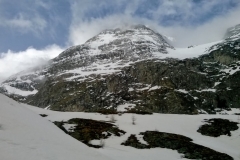 agneaux avril 2014 (31)