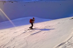 agneaux avril 2014 (48)