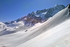 agneaux avril 2014 (56)