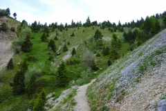 Mont aiguille juin 14 (25)