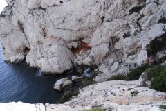 les calanques mars 15 (22)