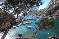 les calanques mars 15 (29)