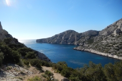 les calanques mars 15 (31)