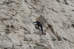 les calanques mars 15 (36)