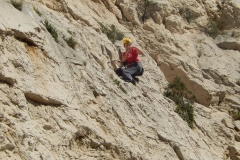 les calanques mars 15 (39)