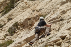 les calanques mars 15 (41)