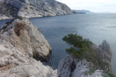 les calanques mars 15 (49)