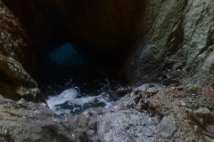 les calanques mars 15 (54)