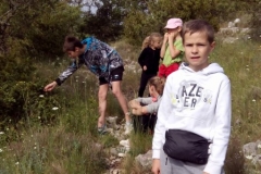 chaulet mai 2015 (2)