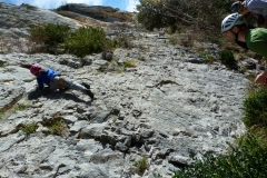 ombleze novembre 2015 (29)