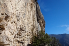 ombleze novembre 2015 (6)