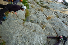 ombleze novembre 2015 (9)