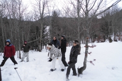 formation NetA janvier 2016 (28)