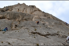 Dentelles de montmirail mars 16 (11)