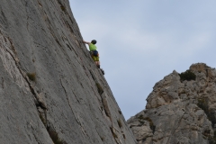 Dentelles de montmirail mars 16 (13)