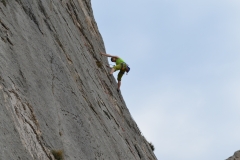 Dentelles de montmirail mars 16 (17)