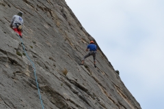 Dentelles de montmirail mars 16 (18)