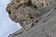 Dentelles de montmirail mars 16 (25)
