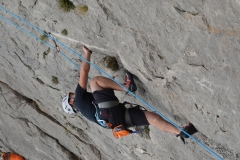 Dentelles de montmirail mars 16 (28)