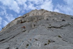 Dentelles de montmirail mars 16 (30)