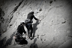 Dentelles de montmirail mars 16 (34)