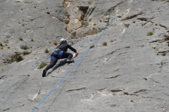 Dentelles de montmirail mars 16 (36)