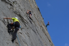 Dentelles de montmirail mars 16 (38)