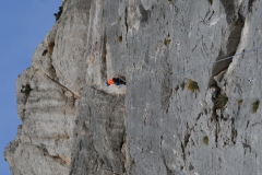 Dentelles de montmirail mars 16 (40)