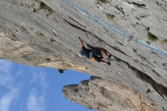 Dentelles de montmirail mars 16 (43)