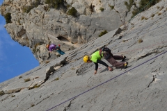 Dentelles de montmirail mars 16 (46)